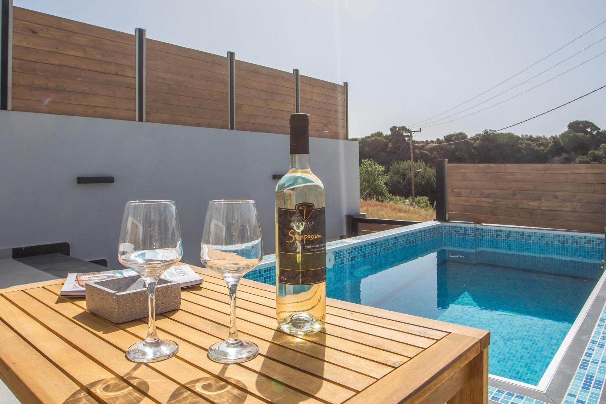Vilă Armonikon Pool Asgourou